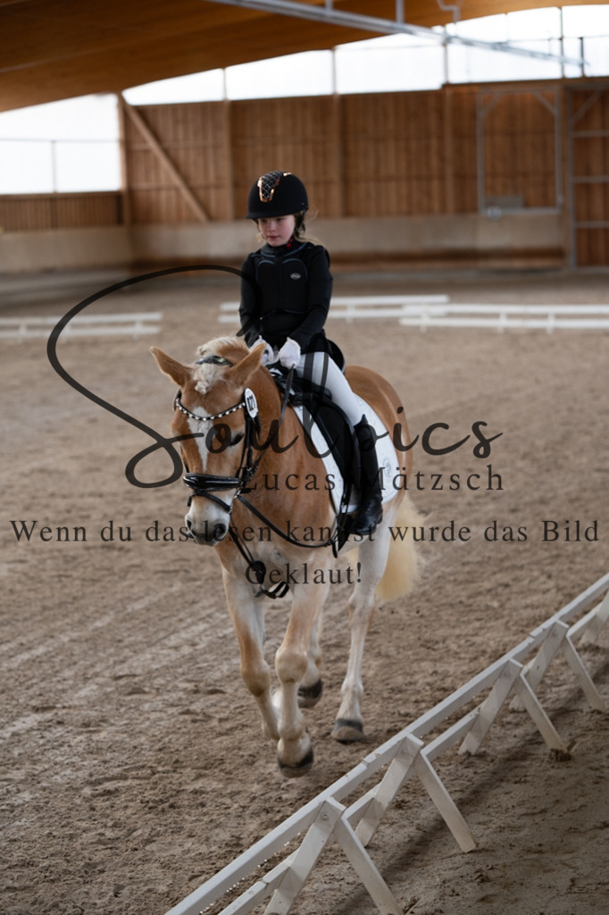 A7V09279 | Pferdefotograf