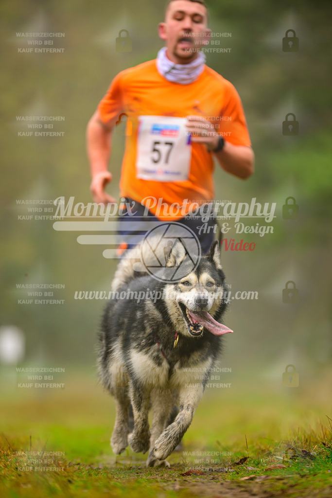 MompixPhotography_Bischwiller2025_Canicross-94 | mompixphotography