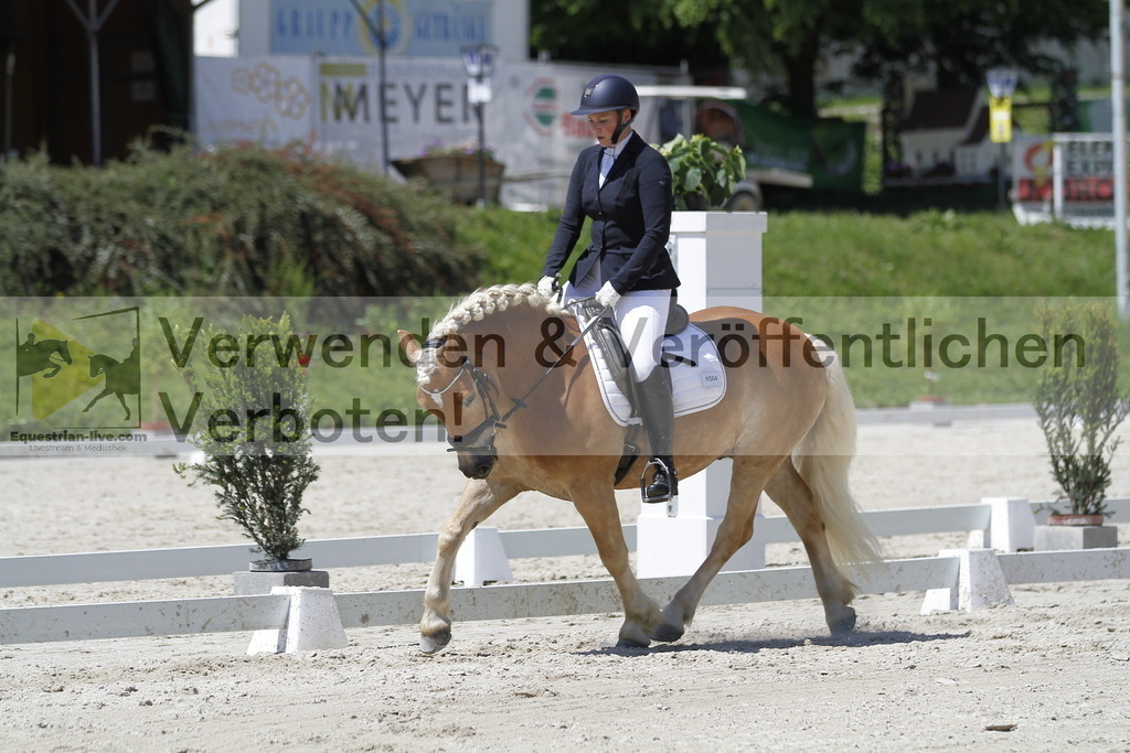 _MG_5279 | equestrian-live-com