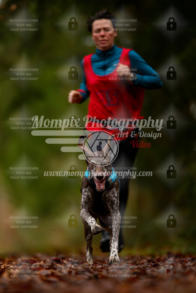 MompixPhotography_2SSTSSBW_2025_SO_Canicross-39 | PayLife