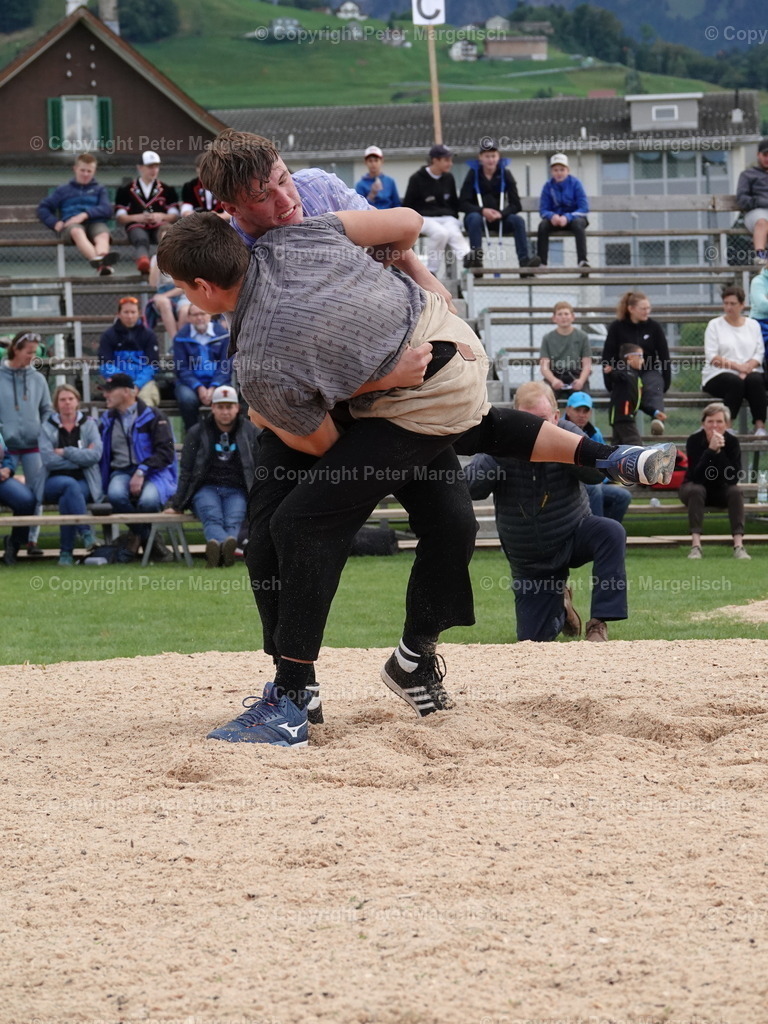 DSC05474 | Schwingen - Realisiert mit Pictrs.com