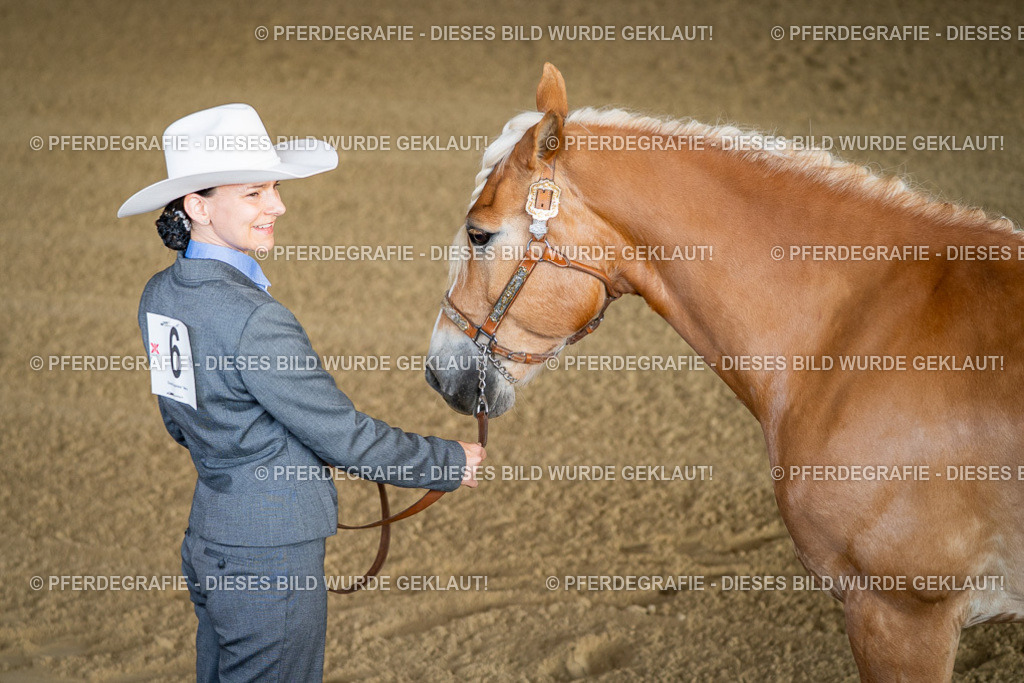 DSC07594 | Pferdegrafie