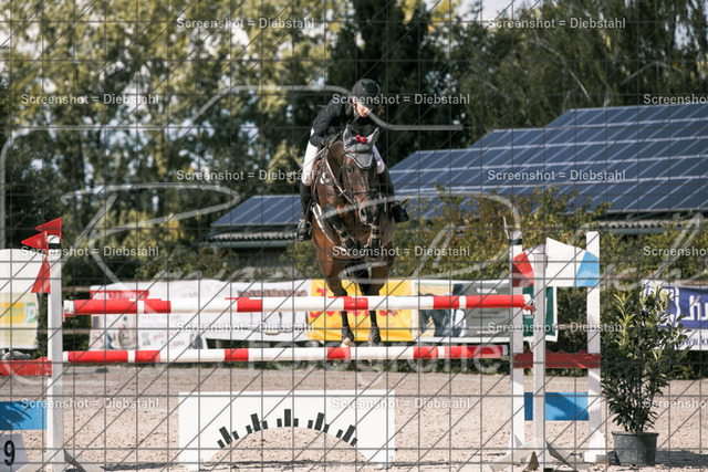 _W6A1023 | ronjaprokoschfotografie - Realisiert mit Pictrs.com