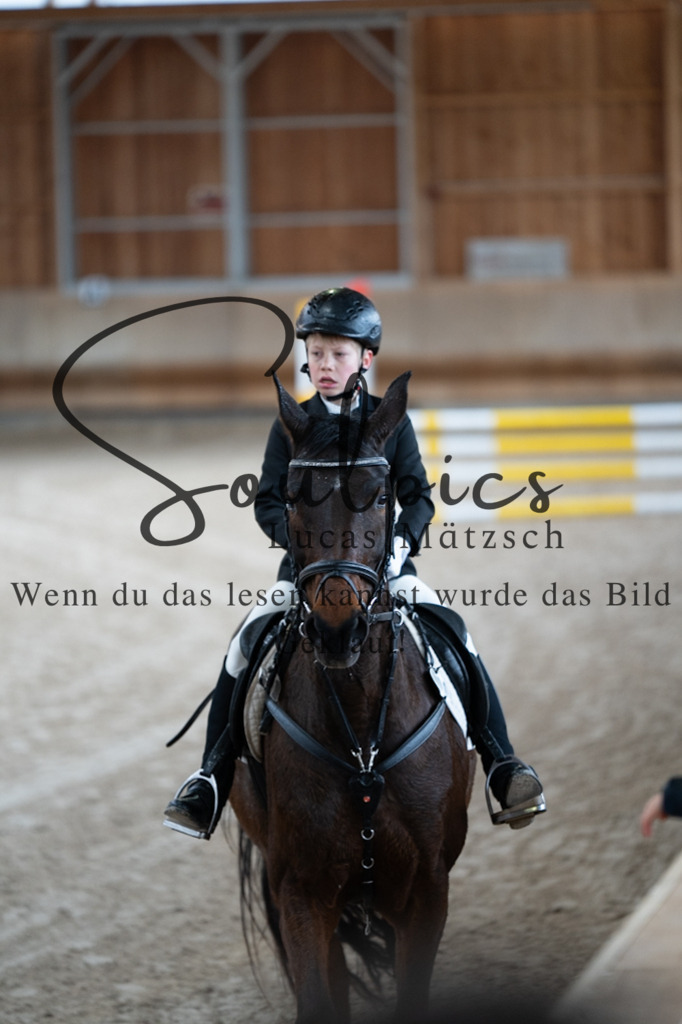 A7V09917 | Pferdefotograf