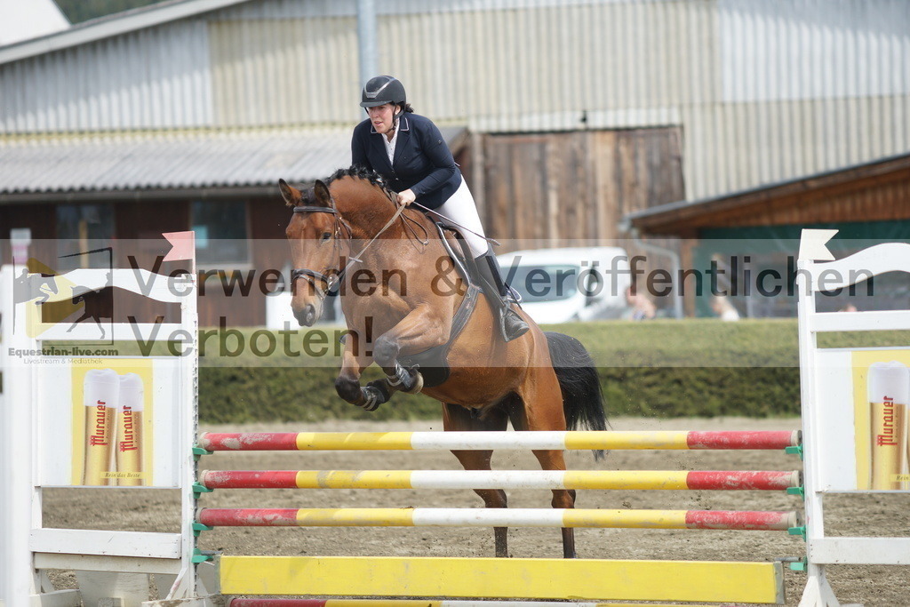 DSC04299 | equestrian-live-com