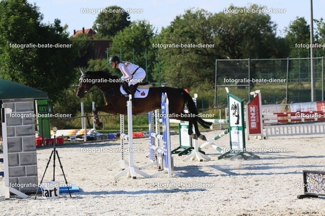 OHT 2022 Röhlingen (87) | Fotografie, Tiere, Hunde, Katzen, Pferde, Sportfotografie, Fotosession, Tierfotografie, Turnierfotografie, Fotografin, Fotograf - Realisiert mit Pictrs.com