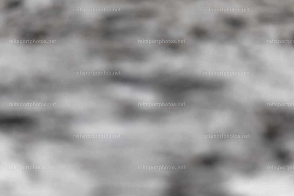 JoYaR3_Heidehof_00456 | JoYa Fotografie - Realisiert mit Pictrs.com