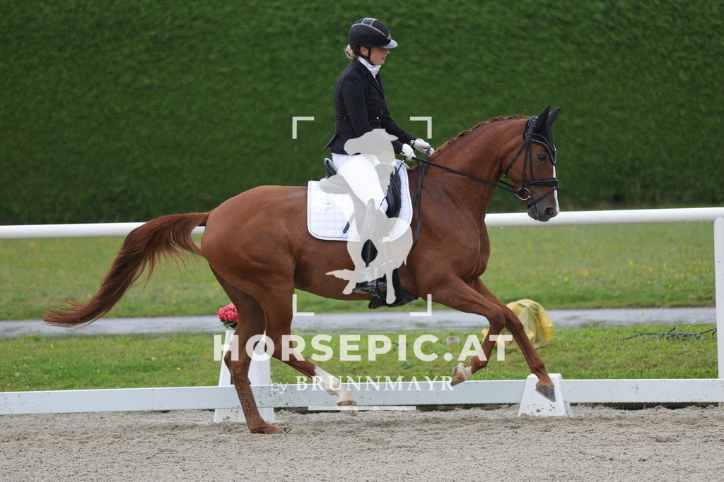 0P6A0166 | Willkommen bei Brunnmayr - Design & Fotografie – Ihrem Spezialisten für Reitturniere und Pferdeveranstaltungen in Oberösterreich, Salzburg und Bayern! Seit über 17 Jahren sind wir leidenschaftlich dabei.