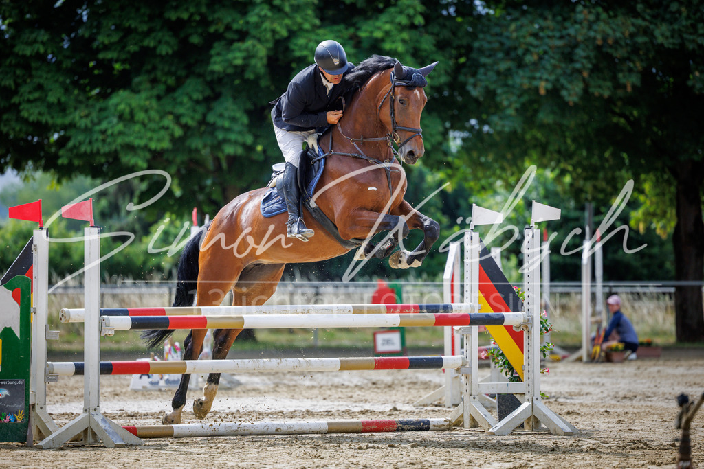 20260705-_3LI4183 | Tierfotografie Pferde, Hunde, Katzen, Haustiere.
Turnierfotografie Reitturniere, Reiten, Springreiten, Dressur in Hanau, dem Main-Kinzig-Kreis und dem Rhein-Main- Gebiet um Frankfurt