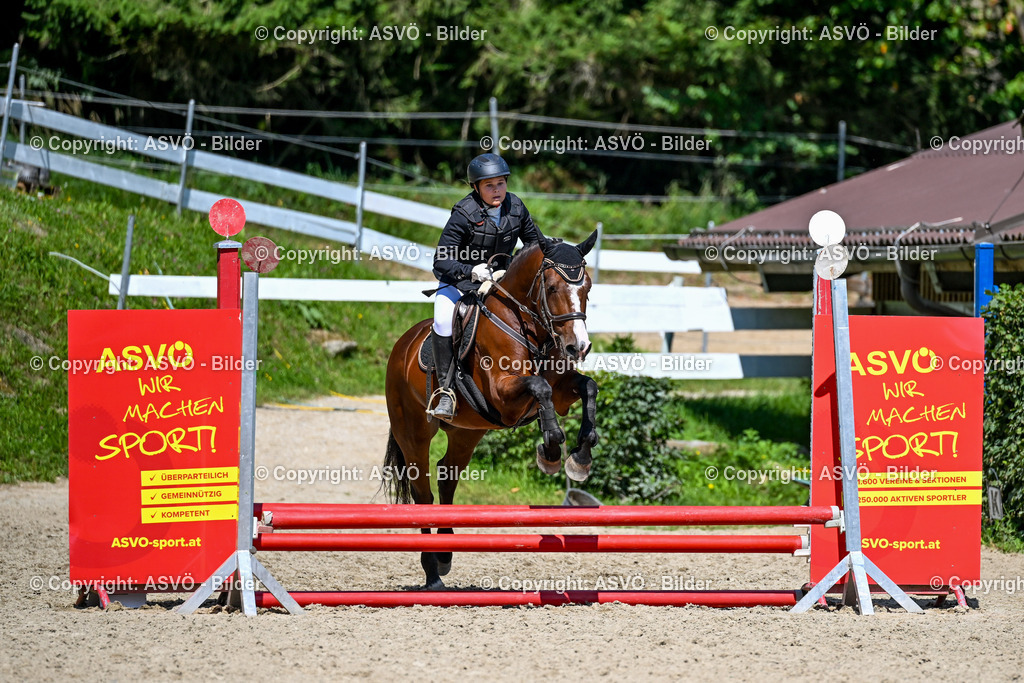 ASVÖ_ Reiten Bezirksmeisterschaft_ 24.08.2025-98 | 24.08.2025, AUT, ASVÖ, Reiten Bezirksmeisterschaft 2025Dressur und Springreiten©fodo.media / Harald Dostal - Realisiert mit Pictrs.com