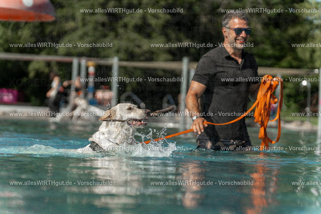 Hundeschwimmen_Volksbad_2026-allesWIRTHgut_Tierfotografie-2609061545-7R501795 | Professionelle Tierfotografie in Mönchengladbach von Daniel Wirth (allesWIRTHgut). Liebevolle & natürliche Bilder von Hunden & Katzen für unvergessliche Erinnerungen.