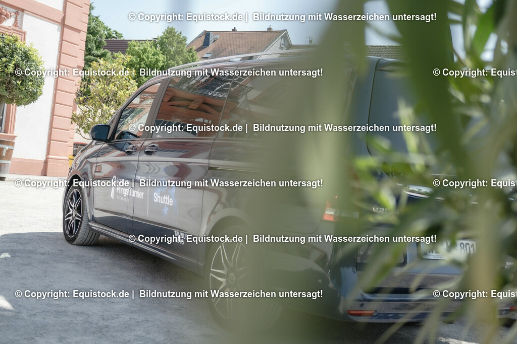 ZFC_3961 | equistock