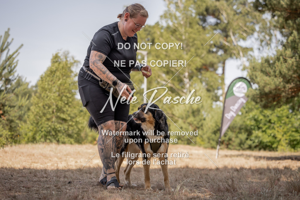 nelerasche_soDD2_260 | nelerasche