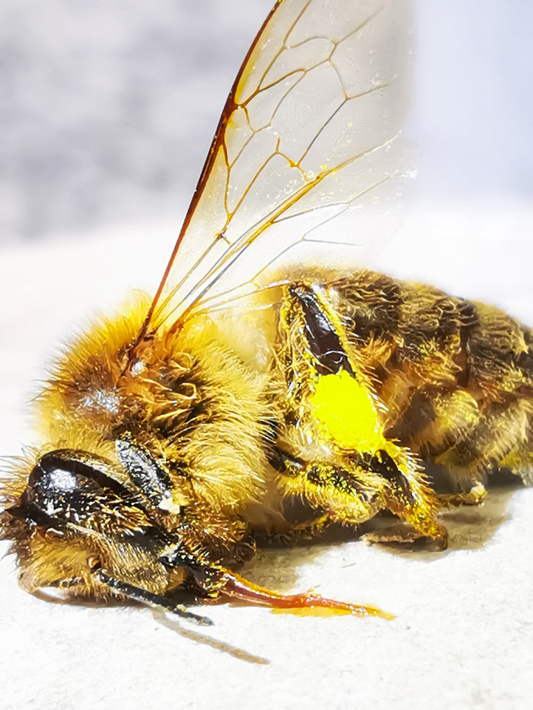 PSX_20230406_233539 | mtkfoto_ - Realisiert mit Pictrs.com