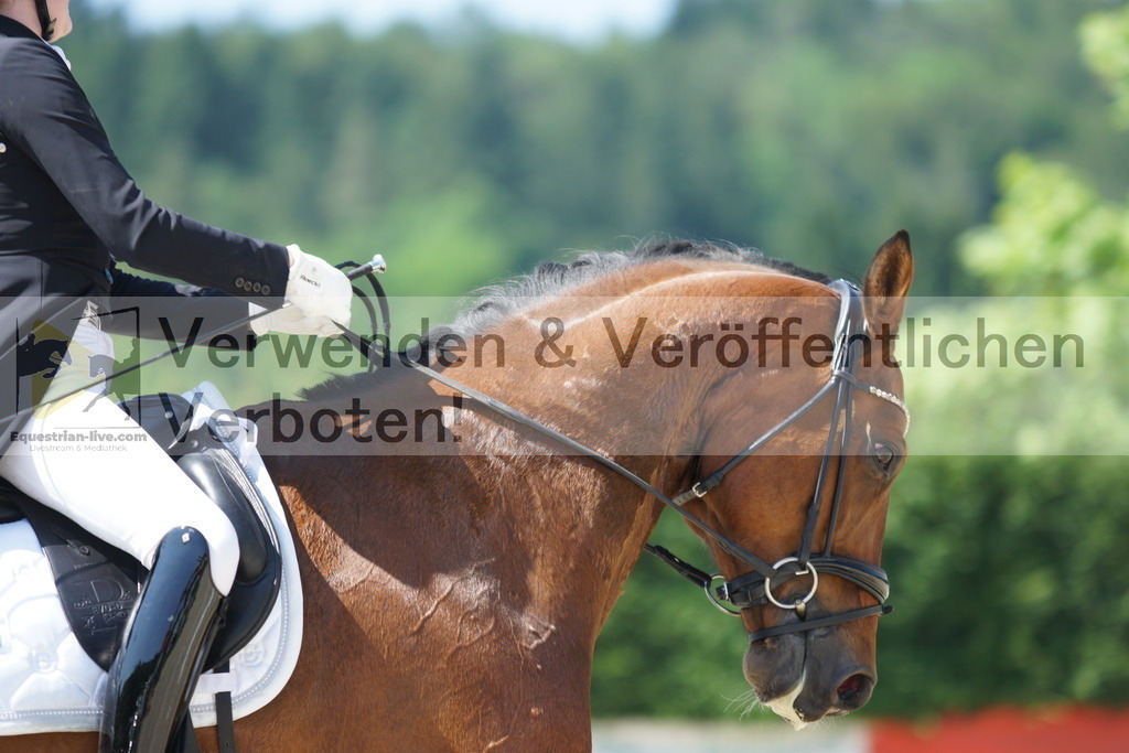DSC02244 | equestrian-live-com
