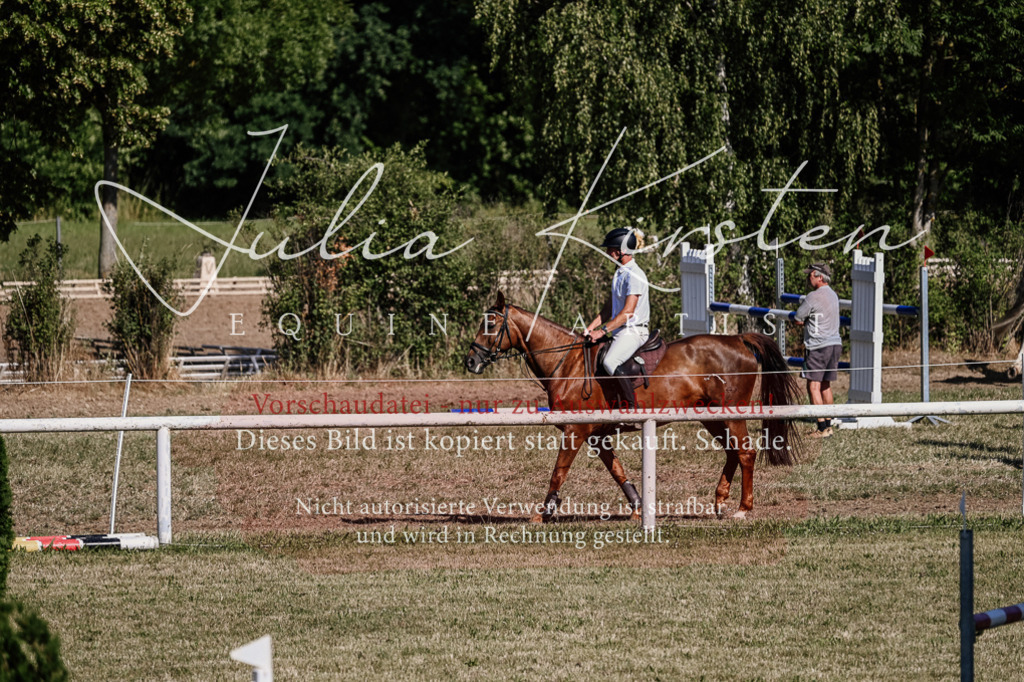 DSC_2003 | Pferde- und Turnierfotografie in Westsachsen. Pferdeportraits, Auftragszeichnungen und intuitive Kunst.