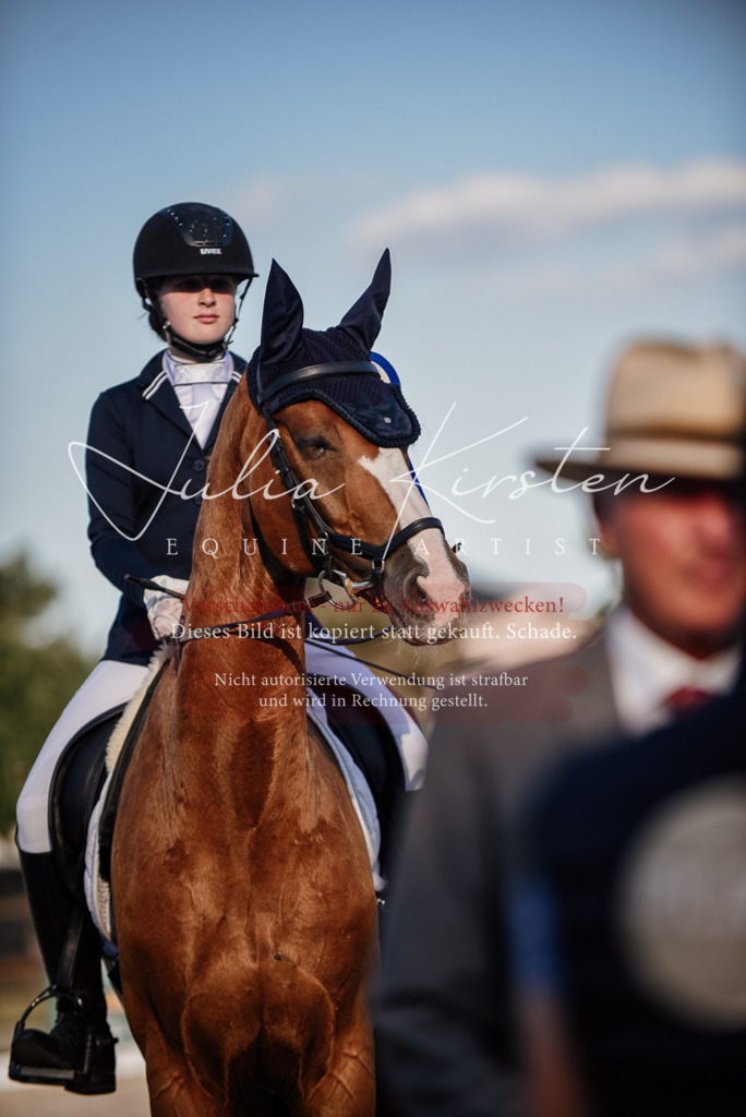 DSC_0730 | Pferde- und Turnierfotografie in Westsachsen. Pferdeportraits, Auftragszeichnungen und intuitive Kunst.