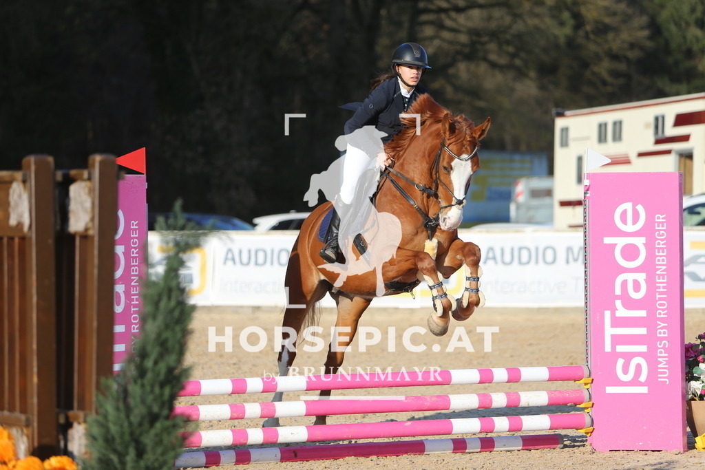 DL2Q1768 | Willkommen bei Brunnmayr - Design & Fotografie – Ihrem Spezialisten für Reitturniere und Pferdeveranstaltungen in Oberösterreich, Salzburg und Bayern! Seit über 17 Jahren sind wir leidenschaftlich dabei.