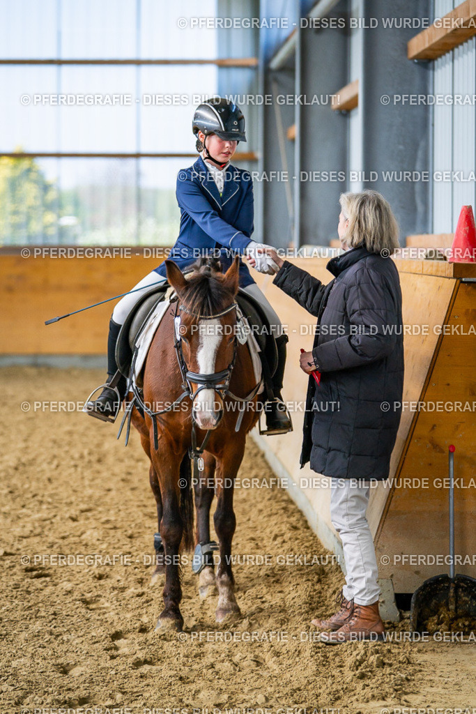 DSC02746 | Pferdegrafie