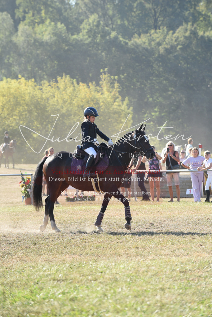 DSC_5697 | Pferde- und Turnierfotografie in Westsachsen. Pferdeportraits, Auftragszeichnungen und intuitive Kunst.