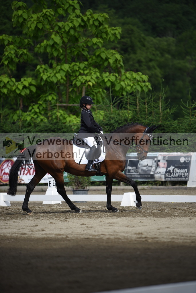 DSC_7649 | equestrian-live-com