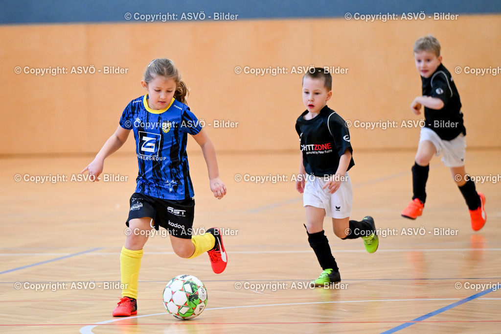 ASVÖ_ Fussballturnier SV Gallneukirchen_ 08.02.2025-53 | 08.02.2025, Gallneukirchen, AUT, ASVÖ, Fussball Nachwuchs Hallenturnier 2025, SV Gallneukirchen im Bild Teilnehmer U 7©Harald Dostal / fodo.media - Realisiert mit Pictrs.com