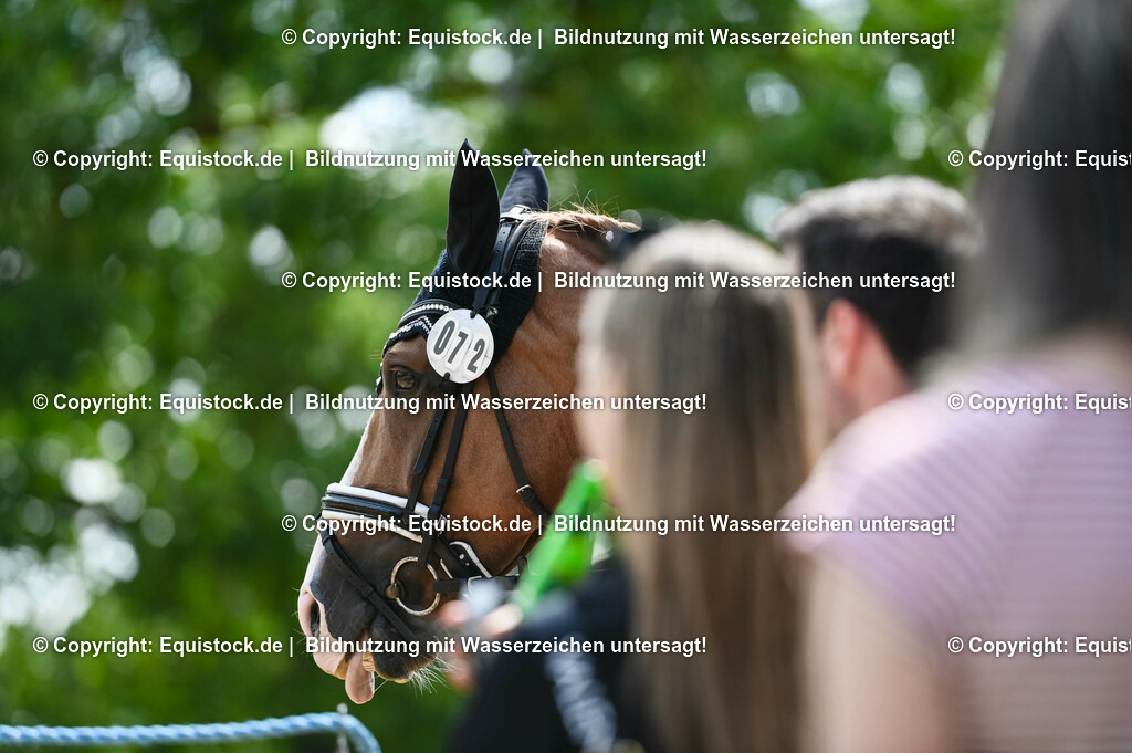 20230716_03_Dressurprfg. Kl.L - Tr._0462 | equistock