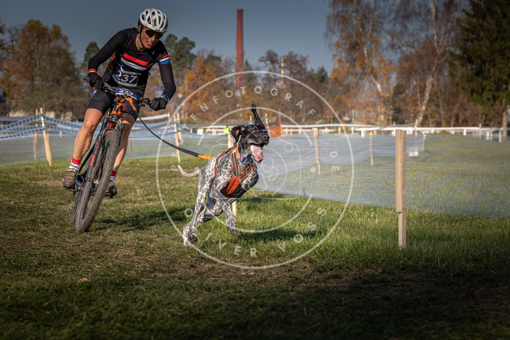 CaniXpix_0L8A6792 | Hundefotografie, Tierfotograf, Pfotenfotografie, Fotoshooting Hund, Hunde Portrait, Hundesport, Hundeportraits, Heideshooting, Hunde, Sportfotograf, Hundefotograf, Turnierhundsport, THS,  - Realisiert mit Pictrs.com
