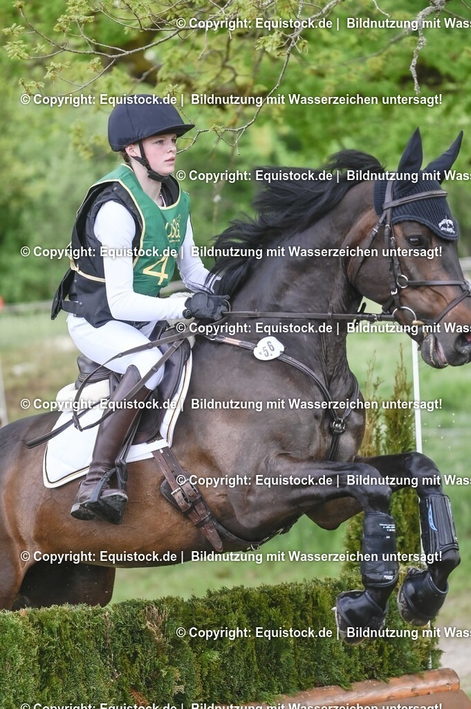 20250517_CCI1_Gelände_0683 | Foto: Thomas Hartig