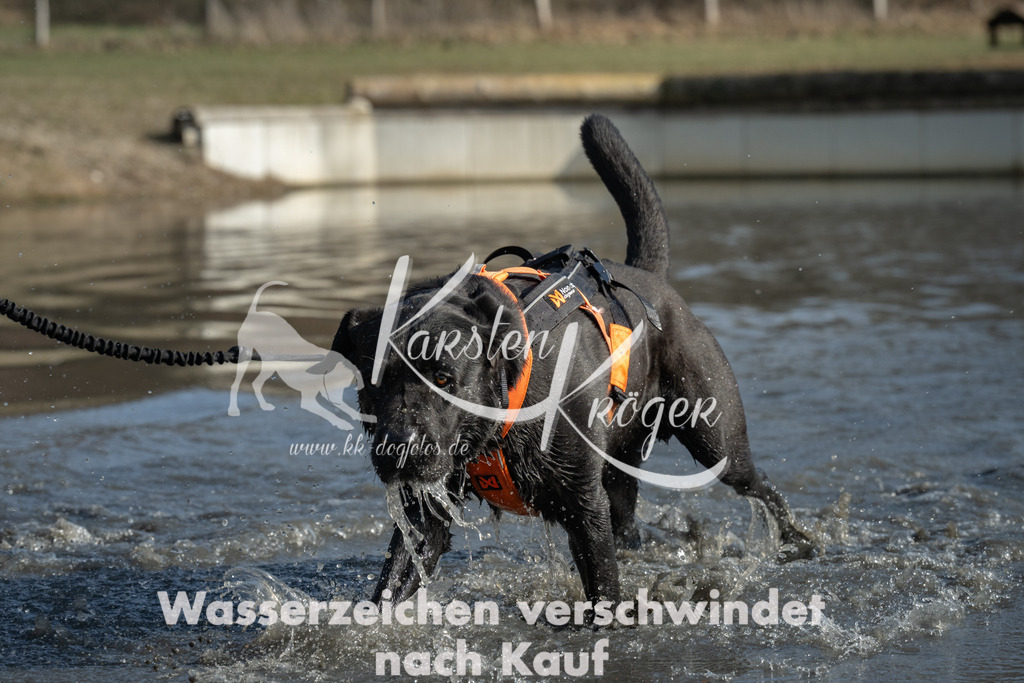 1403_ZZ99623 | kk-dogfotos