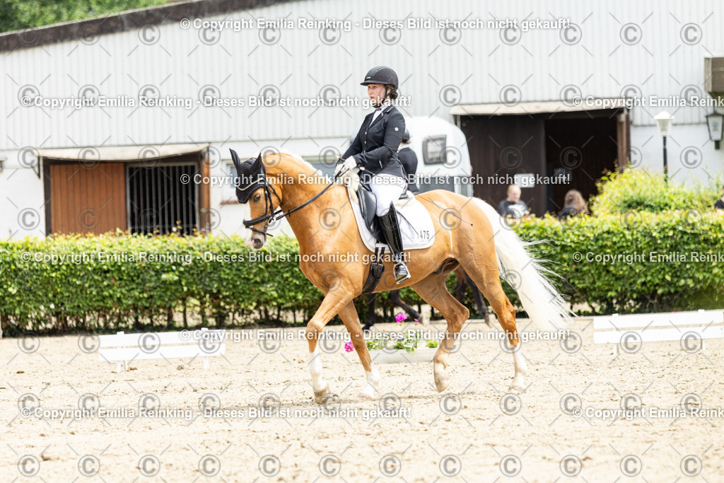 CL5A0170 | Emilia Reinking Fotografie - Realisiert mit Pictrs.com