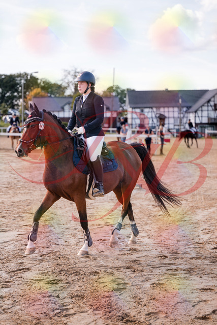 2026_10_03_Siefer-Hof_145535_Z81_36825759 | Professionelle Reitsport-, Turnier- und Eventfotografie von Robert Broda. Galerien mit ausgewählten und bearbeiteten Bildern direkt online ansehen und bestellen.
