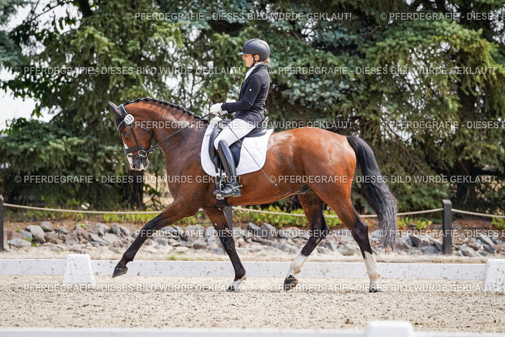 DSC00305 | Pferdegrafie