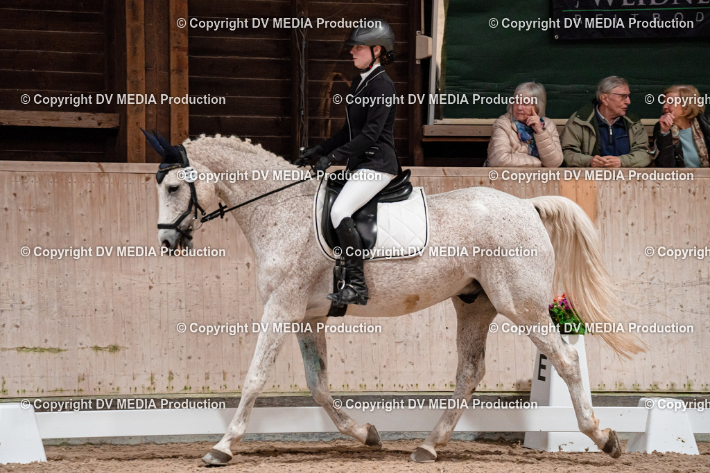 Dressur Tag 2-413 | dv-media-shop - Realisiert mit Pictrs.com