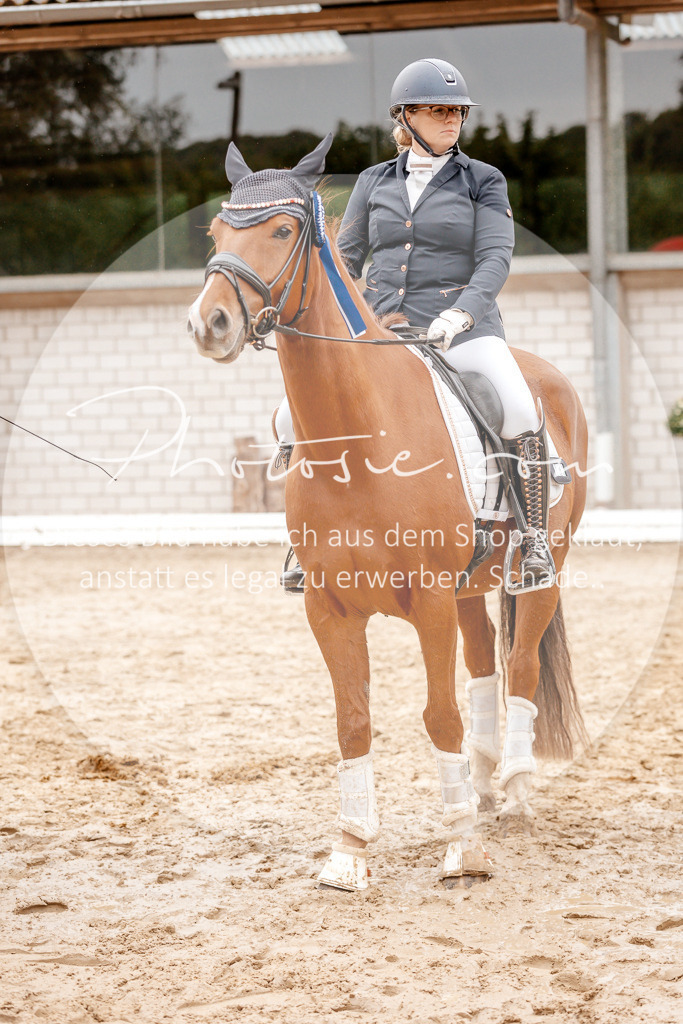 3I6A6018 | Stimmungsvolle Portraits und Reitsportfotografie im Ruhrgebiet und im Münsterland.

Pferdefotografie, Hundefotografie, Tierfotografie, Reportagen, Portraits von Tier und Mensch, Turnierfotografie in Bochum, Recklinghausen, Marl, Haltern am See, Dülmen.. - Realisiert mit Pictrs.com