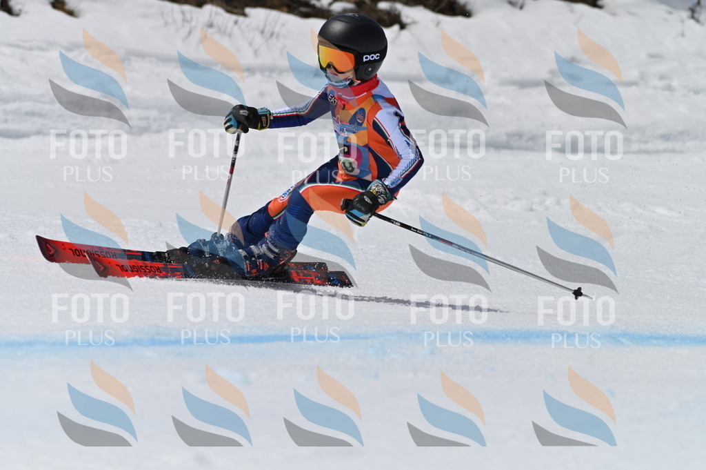 BGV_6732 | holidayphoto