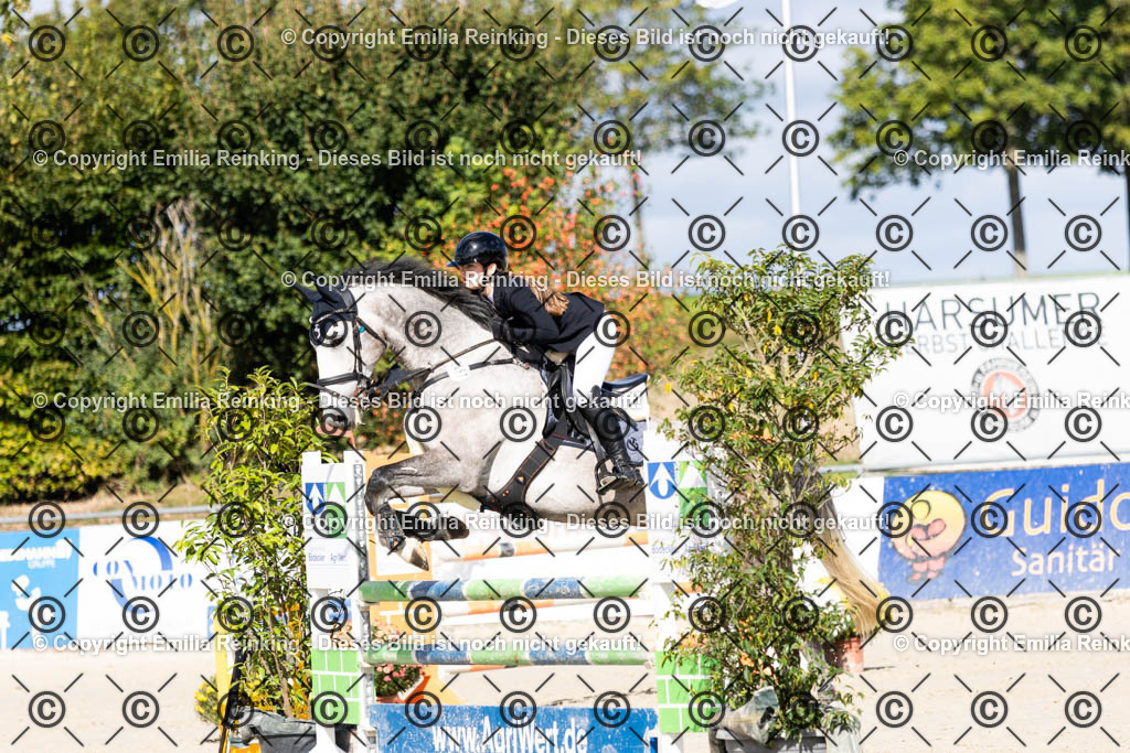 CL5A1471 | Emilia Reinking Fotografie - Realisiert mit Pictrs.com