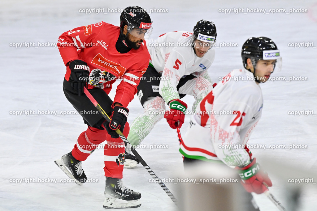 Österreich vs. Ungarn 14.12.2023 | Österreich vs. Ungarn 14.12.2023, Österreich vs. Ungarn  am 14.12.2023 in Klagenfurt (Heidi Horten Arena), Austria, (Photo by Bernd Stefan)