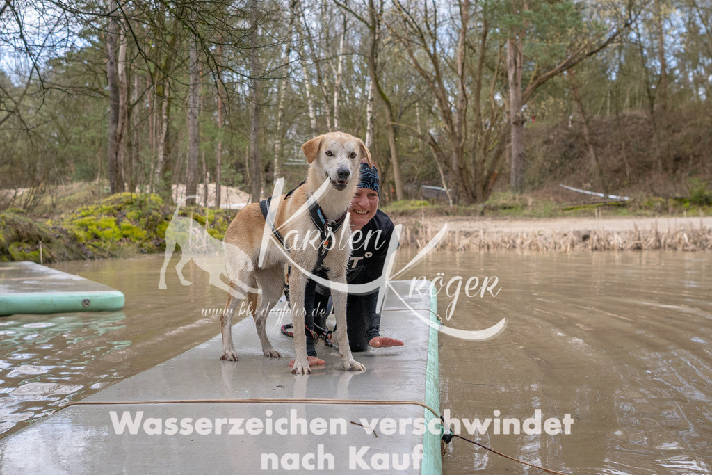 0944_ZZ91104 | kk-dogfotos