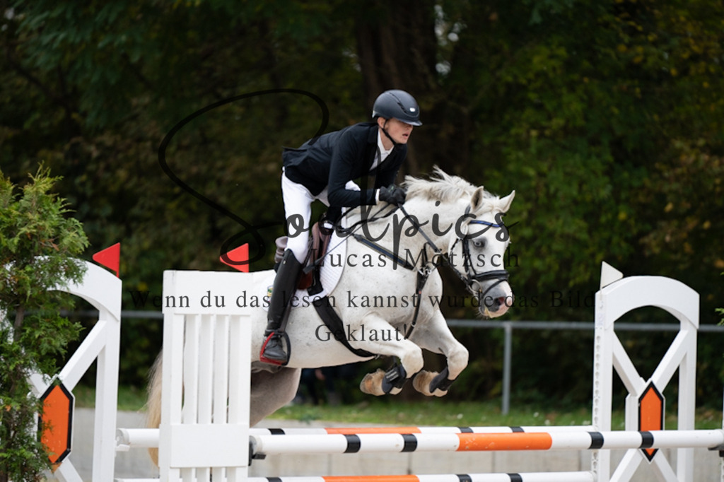 A7V00094 | Turnier/Reitfotograf