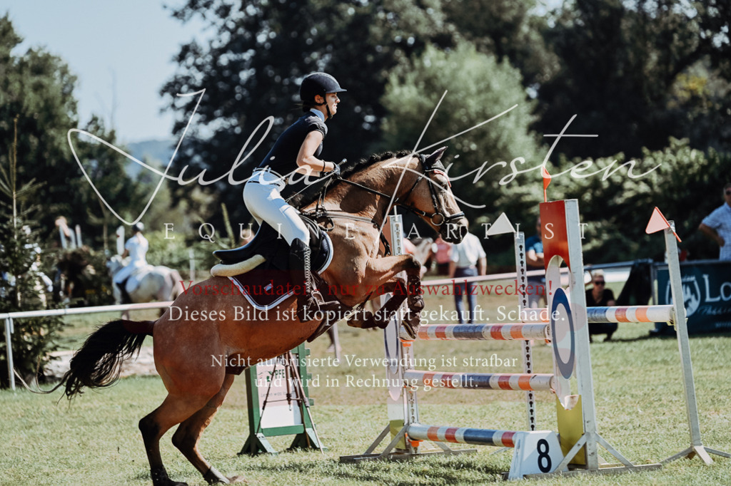 DSC_6045 | Pferde- und Turnierfotografie in Westsachsen. Pferdeportraits, Auftragszeichnungen und intuitive Kunst.