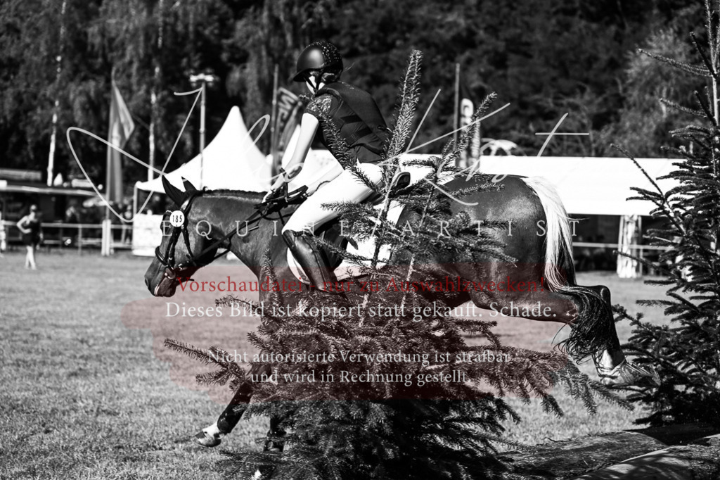 DSC_0953 | Pferde- und Turnierfotografie in Westsachsen. Pferdeportraits, Auftragszeichnungen und intuitive Kunst.