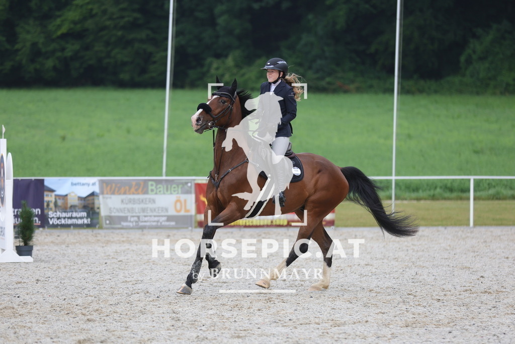 0P6A0406 | Willkommen bei Brunnmayr - Design & Fotografie – Ihrem Spezialisten für Reitturniere und Pferdeveranstaltungen in Oberösterreich, Salzburg und Bayern! Seit über 17 Jahren sind wir leidenschaftlich dabei.