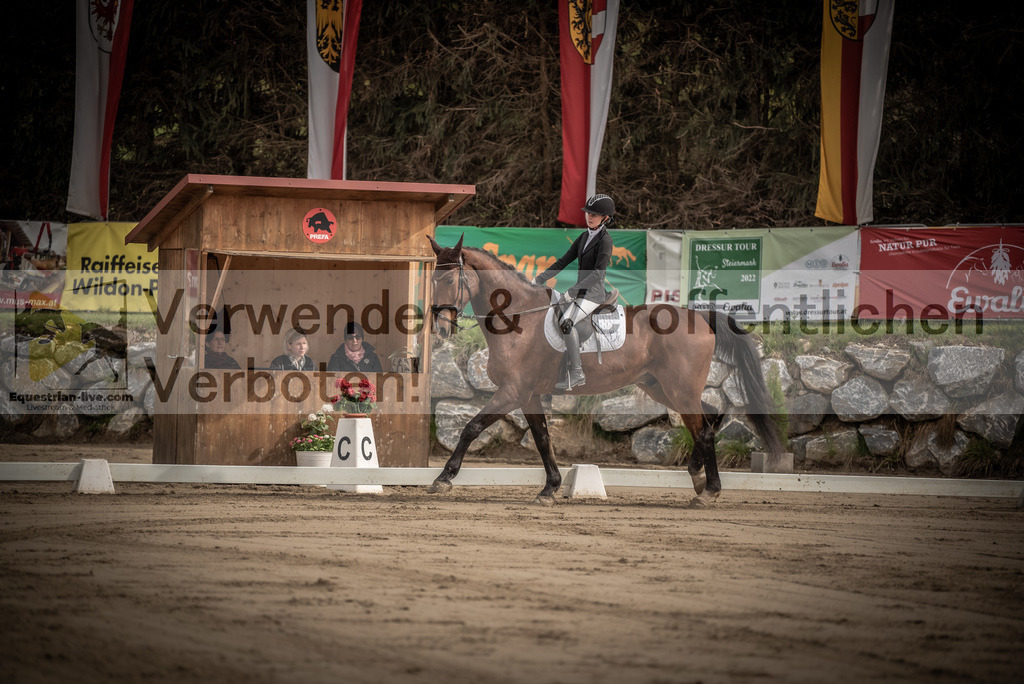 DSC_8271 | equestrian-live-com