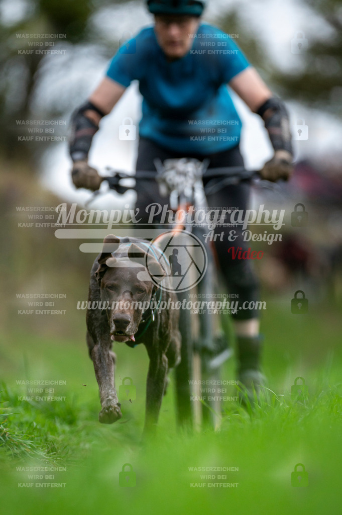 TSB_2023_E8_Bike-23 | PayLife