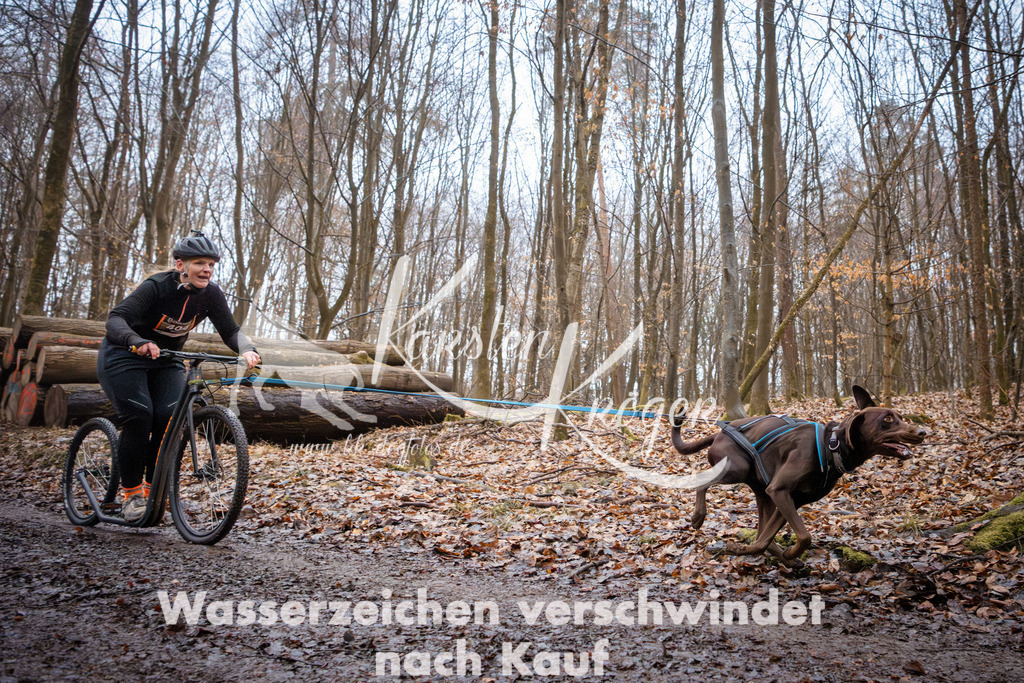 0852_ZZ94913 | kk-dogfotos