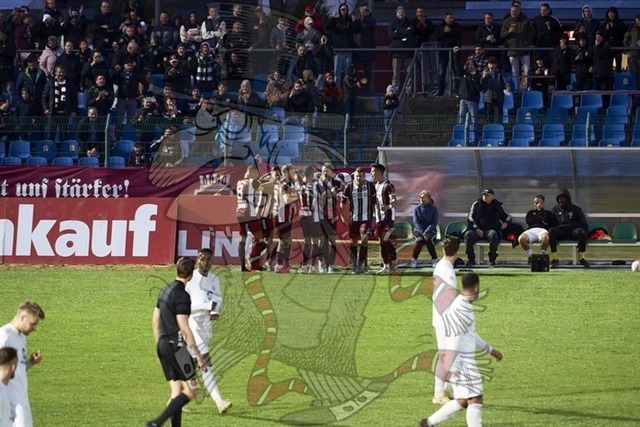 BFC Dynamo vs. Tennis Borussia Berlin 084 | mythos-online-redaktion