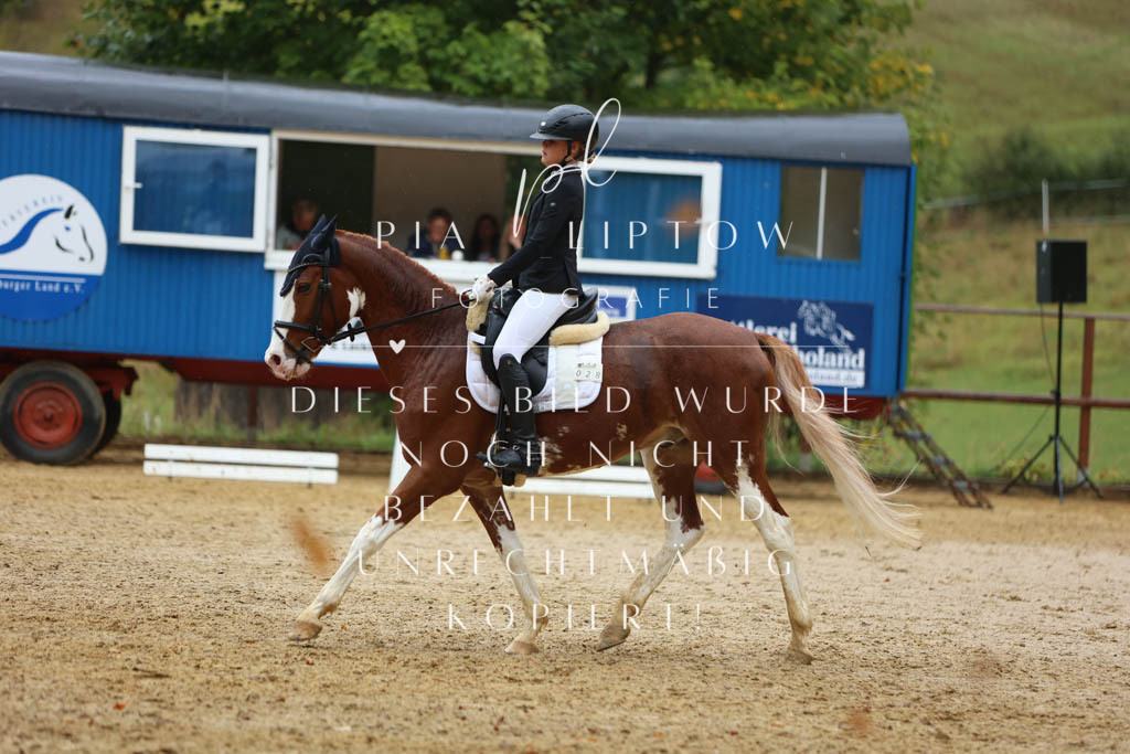 IMGM9265 | pl-fotografie