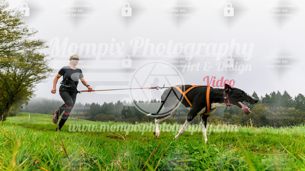 MompixPhotography_20TSB_E5_Run-92 | PayLife