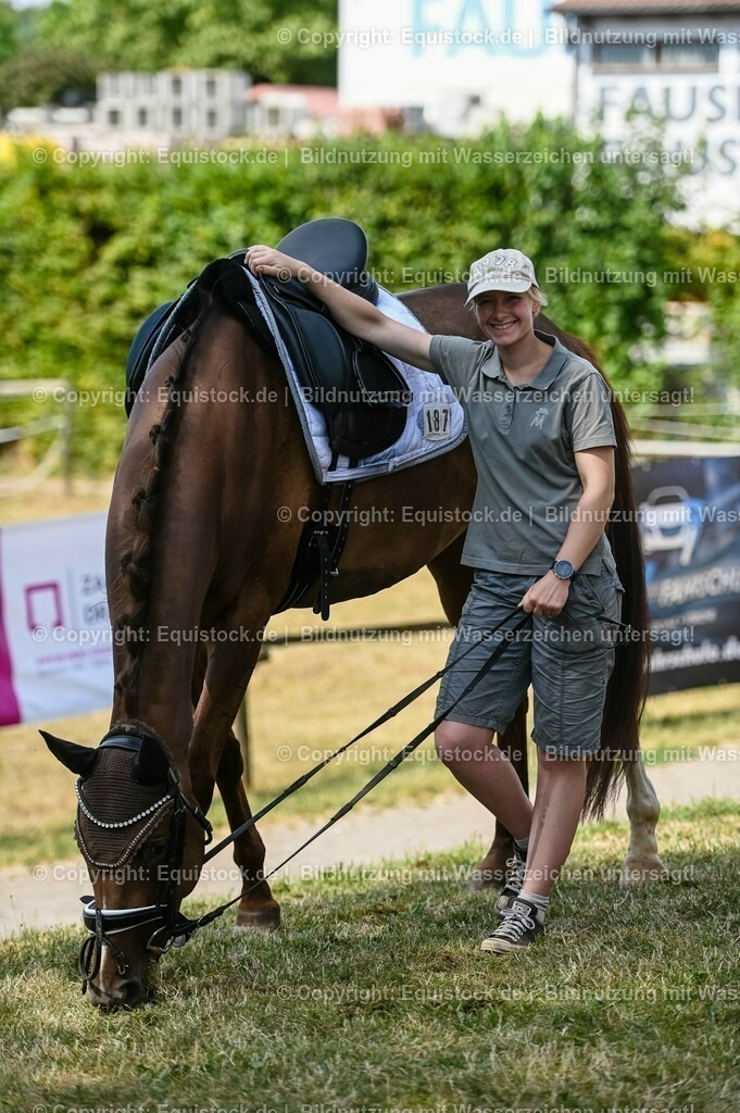 20230715_07_Dressurpferdeprfg. Kl.L_0196 | equistock